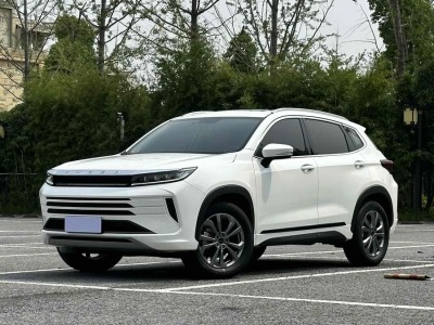 2020年9月 星途 星途LX 乘風破浪版 1.5T CVT星耀版圖片