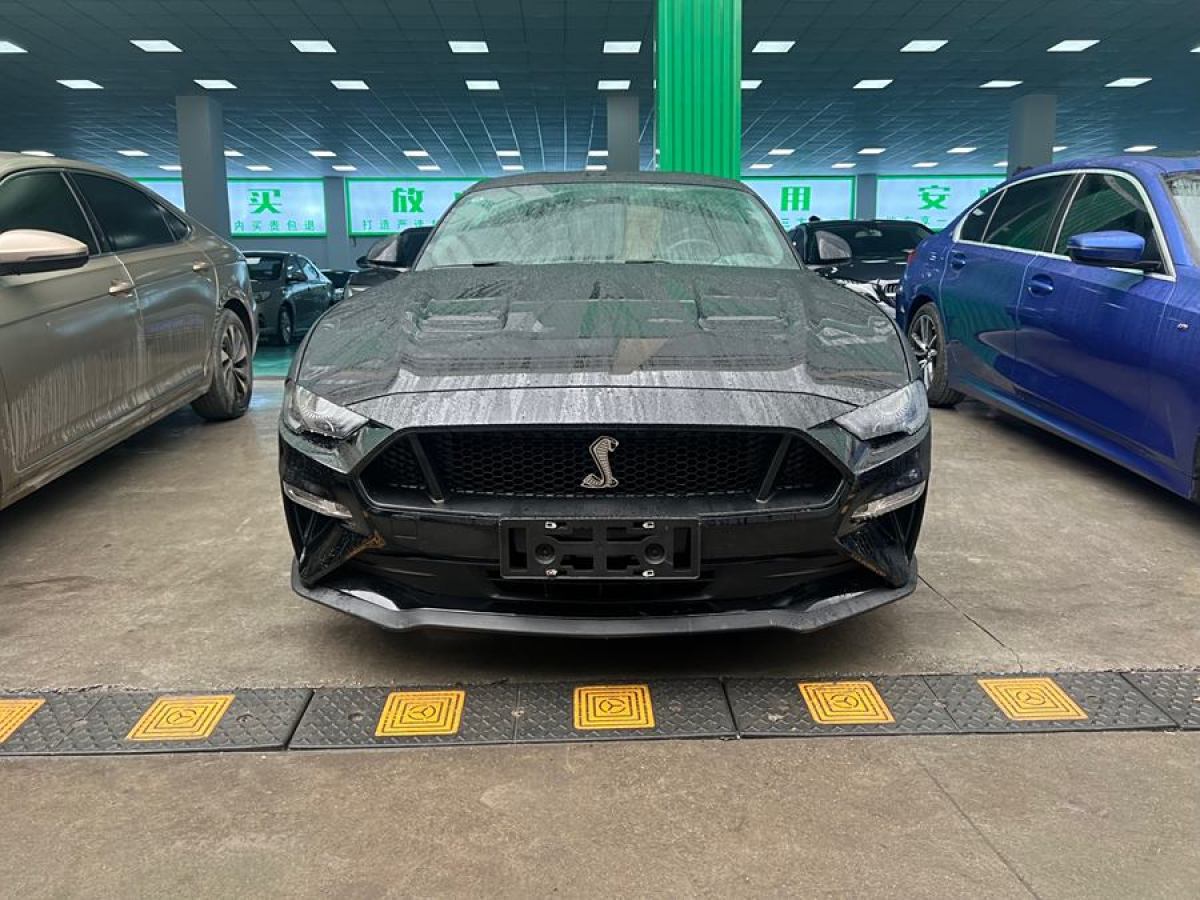 福特 Mustang  2021款 2.3L EcoBoost圖片