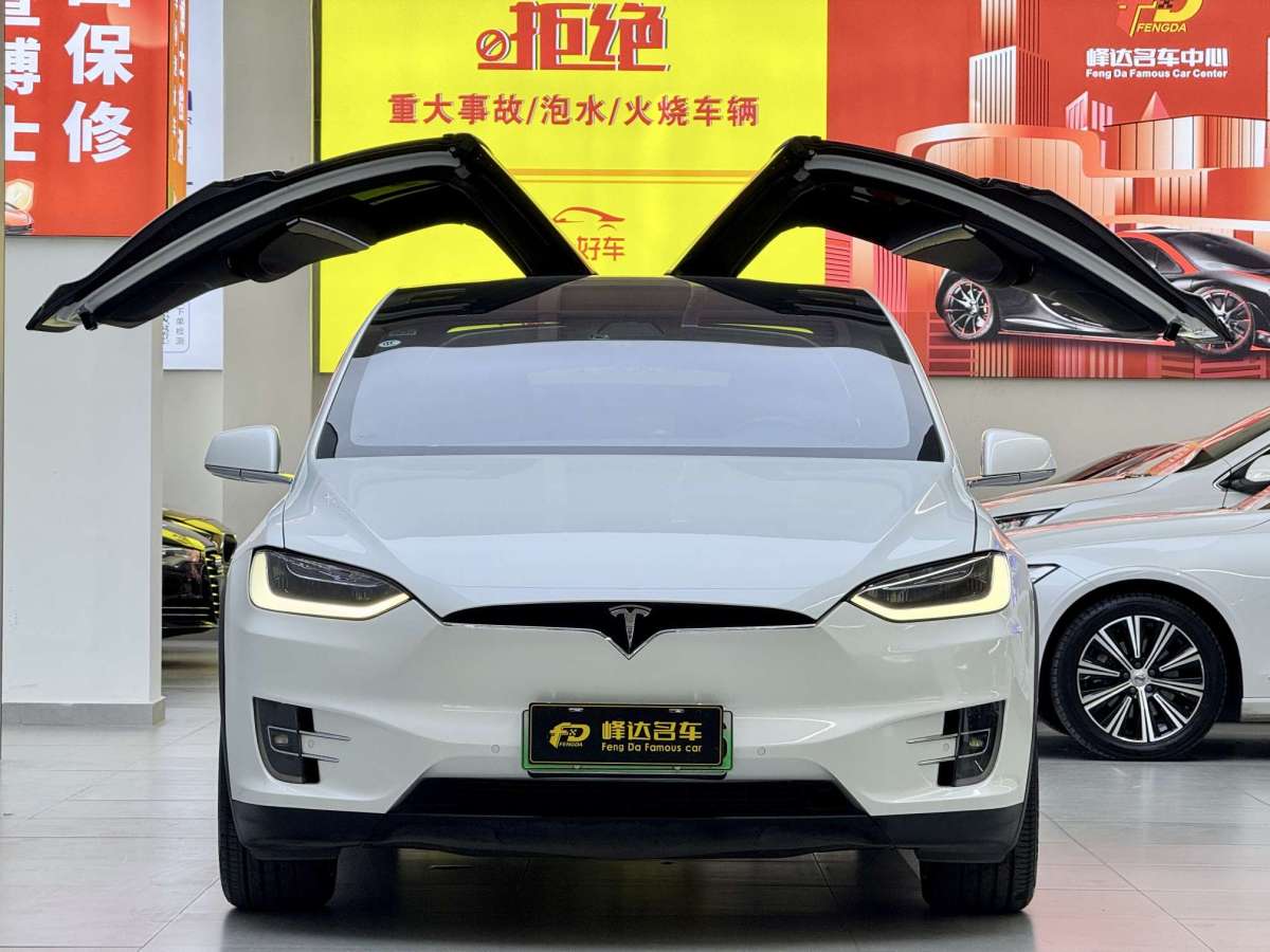 特斯拉 Model X  2016款 Model X 75D圖片