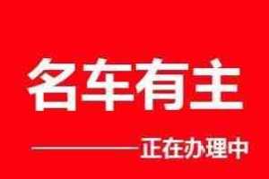 GS8 廣汽傳祺 320T 兩驅(qū)豪華智聯(lián)版