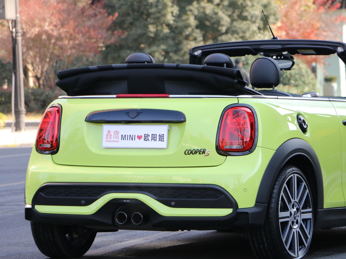 MINI MINI  2023款 改款 2.0T COOPER S CABRIO 藝術(shù)家圖片