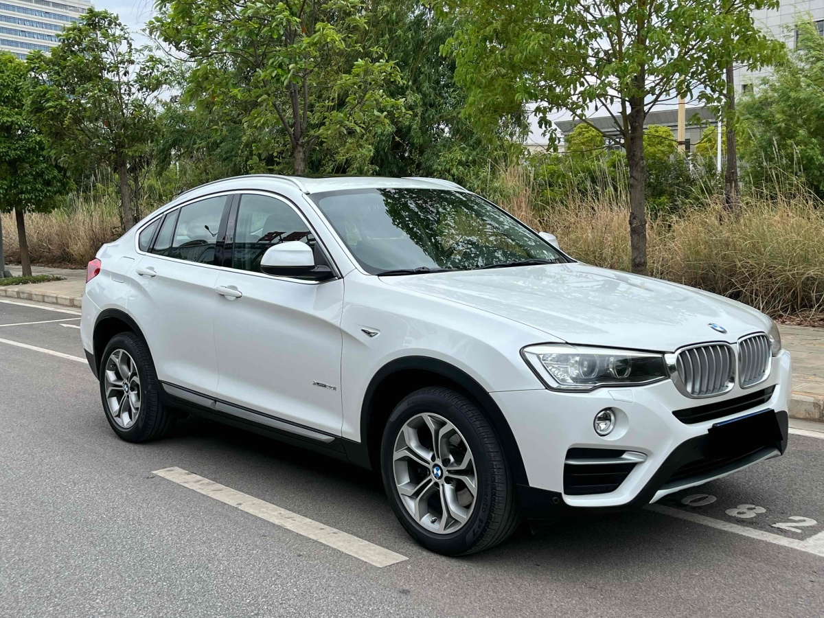 寶馬 寶馬X4  2014款 xDrive20i X設(shè)計(jì)套裝圖片