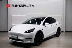 Model Y 特斯拉 改款 长续航后轮驱动版