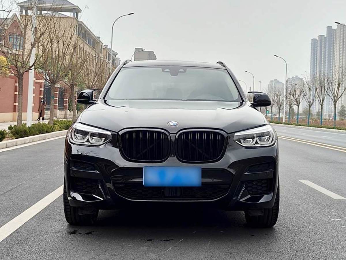 寶馬 寶馬X3  2020款 xDrive30i 領(lǐng)先型 M運(yùn)動套裝圖片