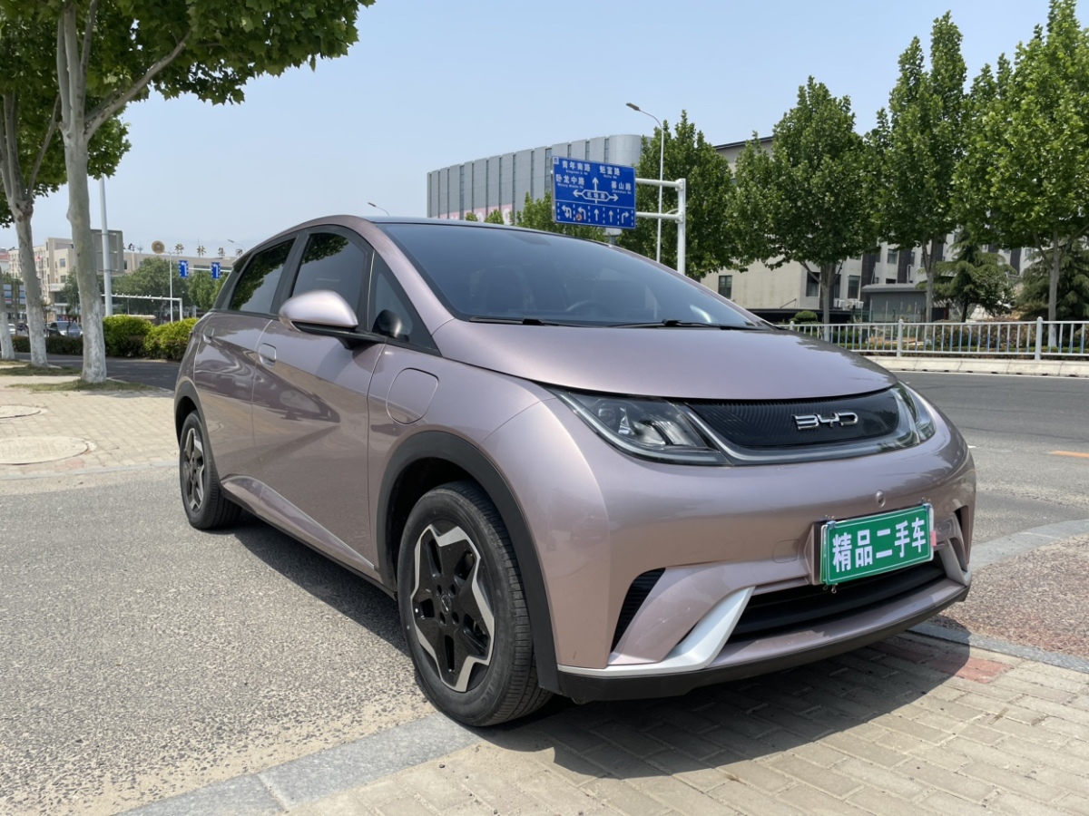 比亞迪 海豚  2021款 405km 時(shí)尚版圖片