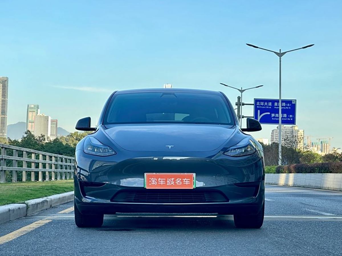 特斯拉 Model 3  2020款 改款 長續(xù)航后輪驅(qū)動版圖片