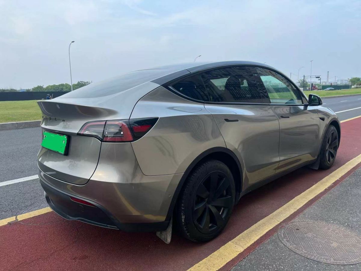特斯拉 Model Y  2022款 Performance高性能全輪驅(qū)動版圖片