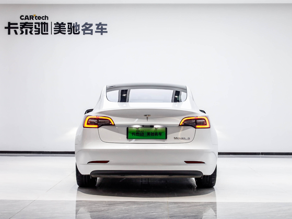 特斯拉 Model 3 2022款 Performance高性能全輪驅(qū)動(dòng)版圖片