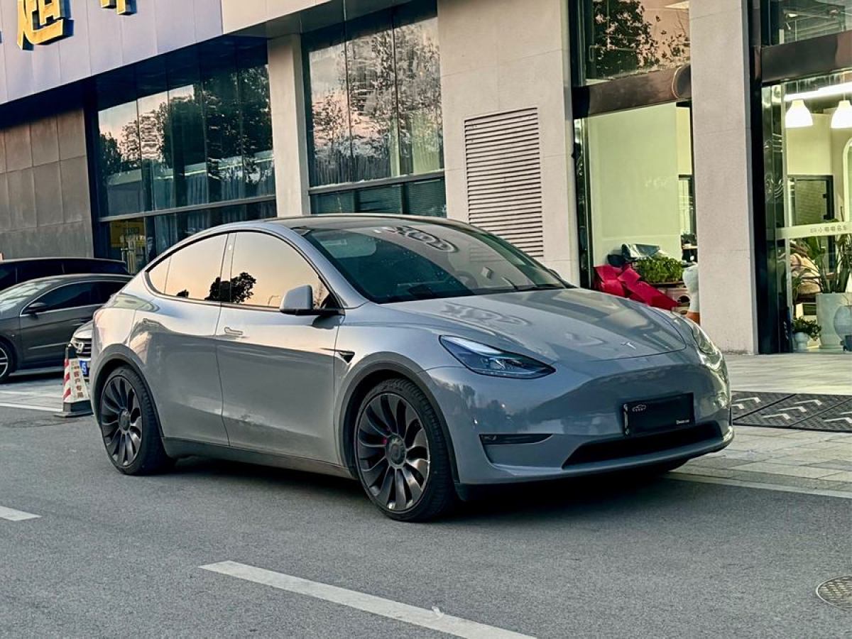 特斯拉 Model 3  2022款 Performance高性能全輪驅(qū)動版圖片