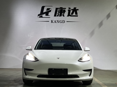 2020年11月 特斯拉 Model 3 標(biāo)準(zhǔn)續(xù)航后驅(qū)升級(jí)版圖片