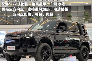 衛(wèi)士 路虎 改款 110 5.0T V8