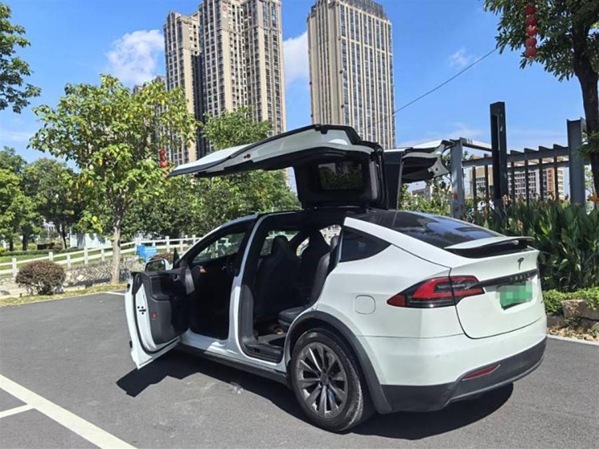 2018年1月特斯拉 Model X  2017款 Model X 100D 長(zhǎng)續(xù)航版