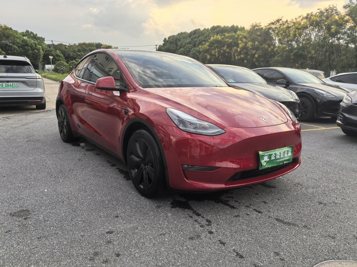 特斯拉 Model Y  2021款 改款 标准续航后驱升级版图片