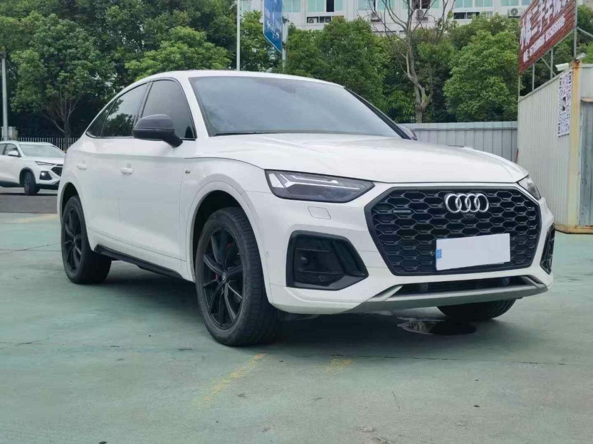 奧迪 奧迪Q5 e-tron  2022款 40 e-tron 星耀型 機(jī)甲套裝圖片