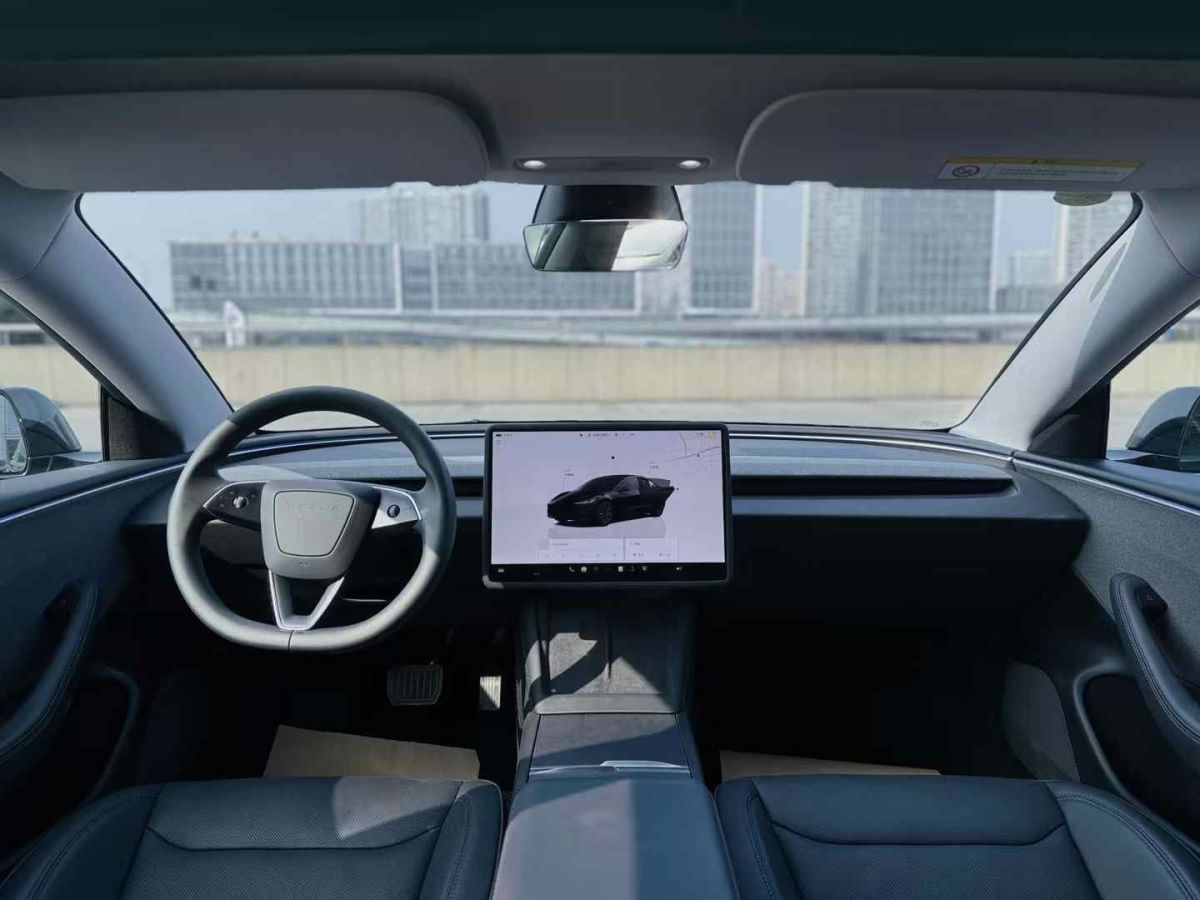 特斯拉 Model Y  2024款 Performance高性能版圖片