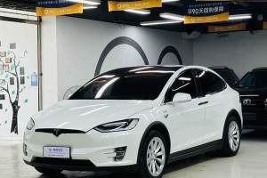 Model X 特斯拉 Model X 100D 长续航版