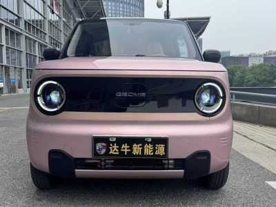 2023年4月 吉利 熊貓mini 200km 耐力熊圖片