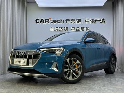 2021年9月 奧迪 奧迪e-tron(進口) 55 quattro 專享型圖片