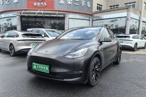 Model Y 特斯拉 改款 标准续航后驱升级版