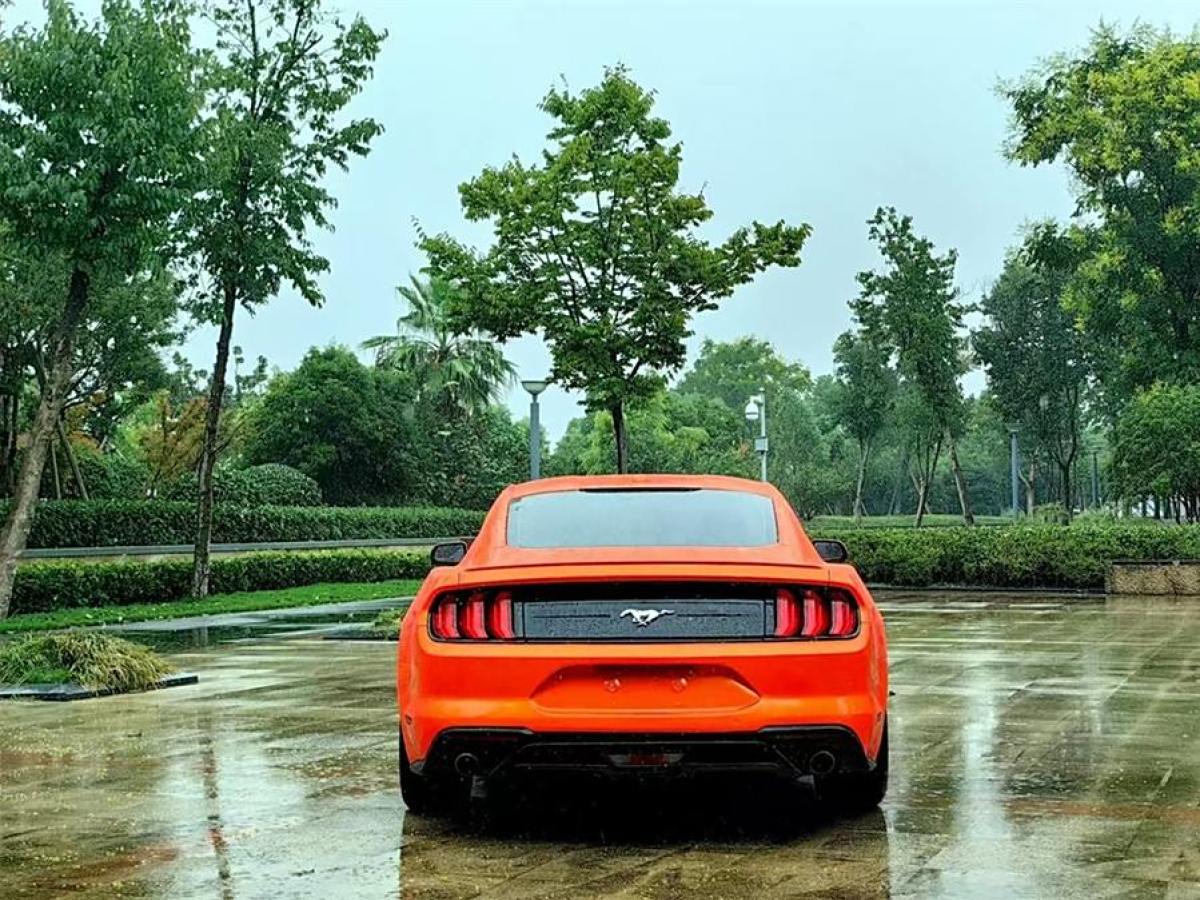 福特 Mustang  2019款 2.3L EcoBoost圖片