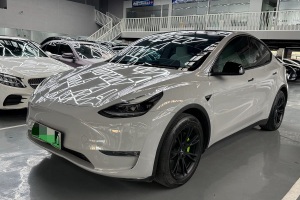 Model Y 特斯拉 標(biāo)準(zhǔn)續(xù)航后驅(qū)版