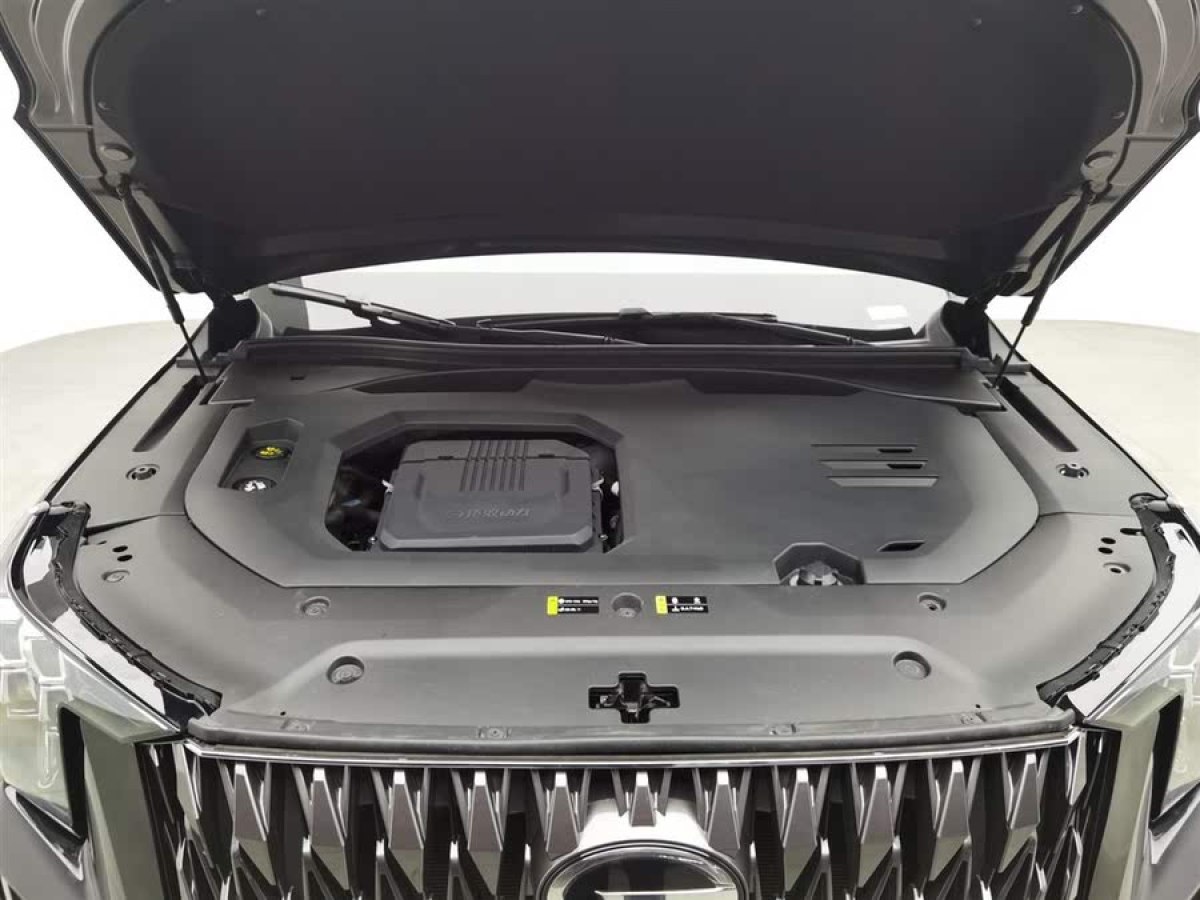 廣汽傳祺 GS8  2022款 雙擎系列 2.0TM 兩驅(qū)尊貴版 （六座）圖片