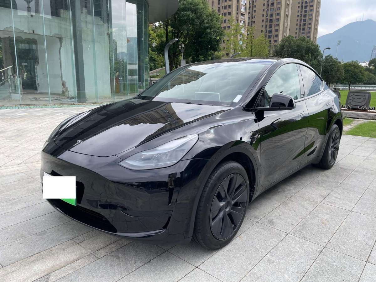 2022年6月特斯拉 Model Y  2022款 后輪驅(qū)動(dòng)版