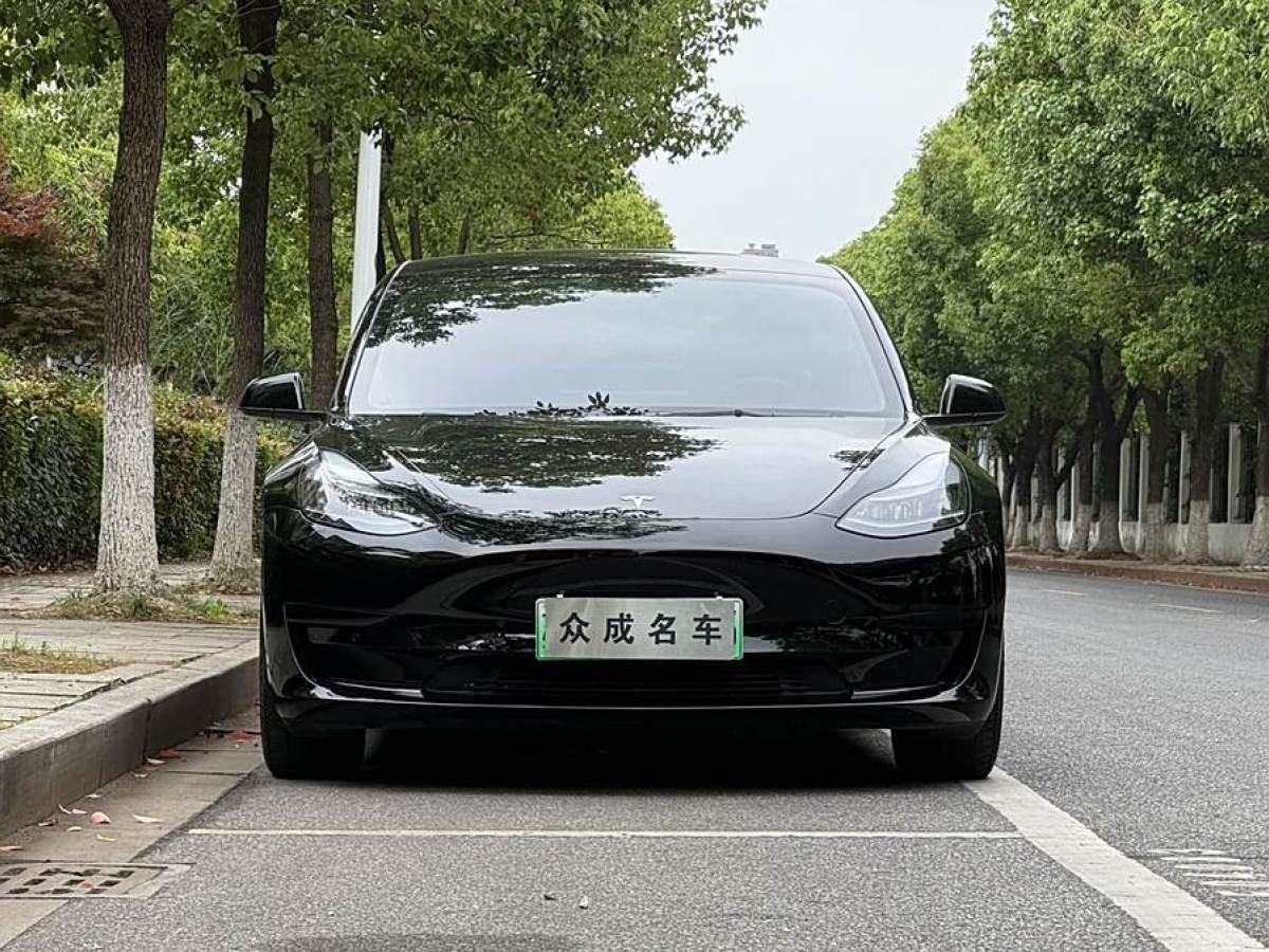 特斯拉 Model 3  2019款 長續(xù)航后驅版圖片