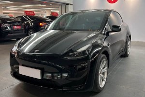 Model Y 特斯拉 改款 后輪驅(qū)動(dòng)版