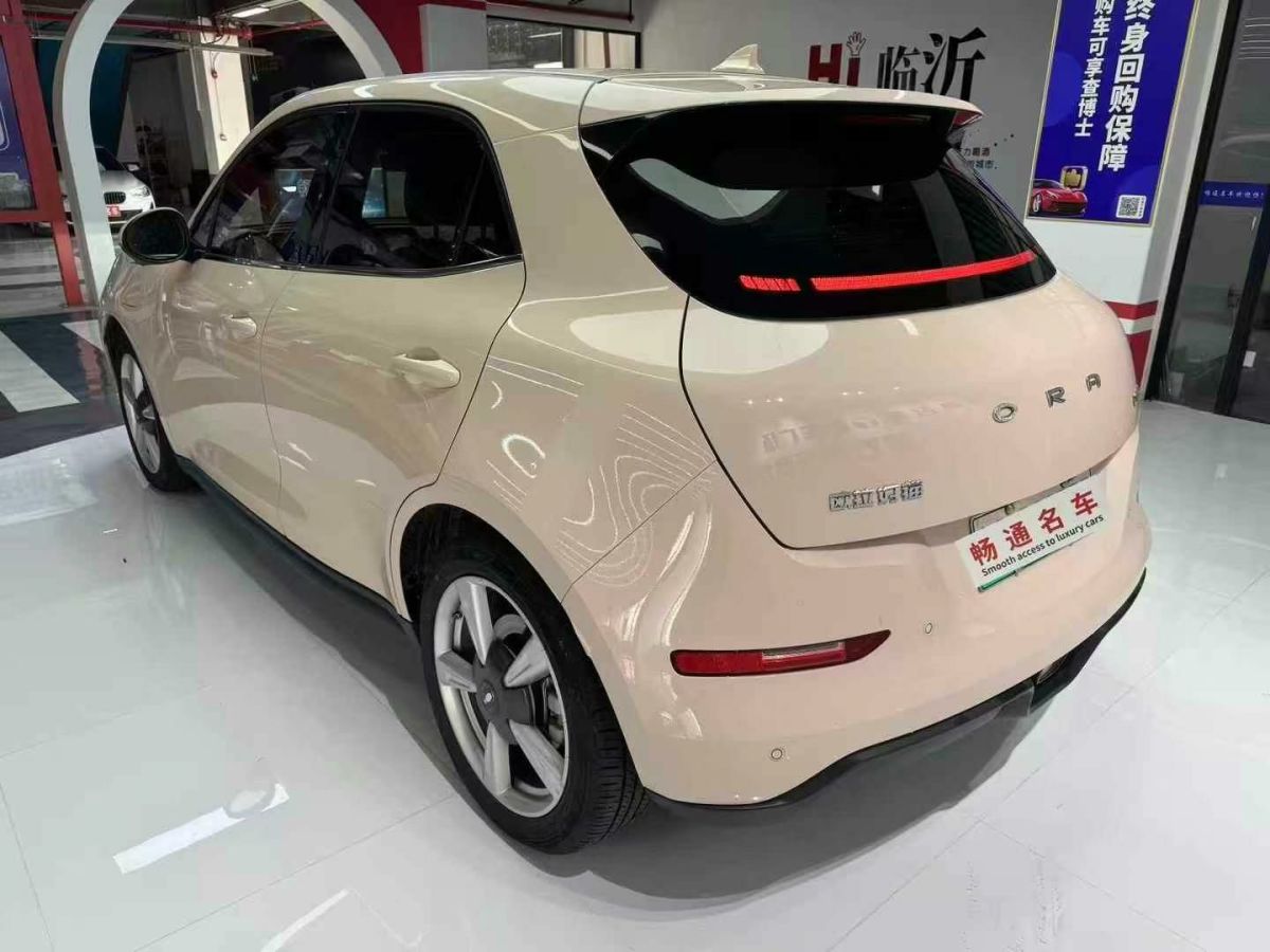 歐拉 歐拉好貓  2022款 400km標準續(xù)航 尊貴型 三元鋰圖片