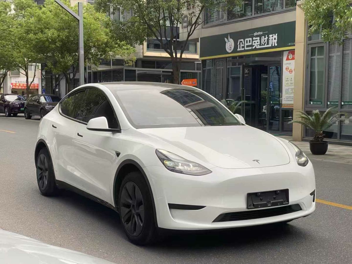 特斯拉 Model Y  2024款 Performance高性能版圖片