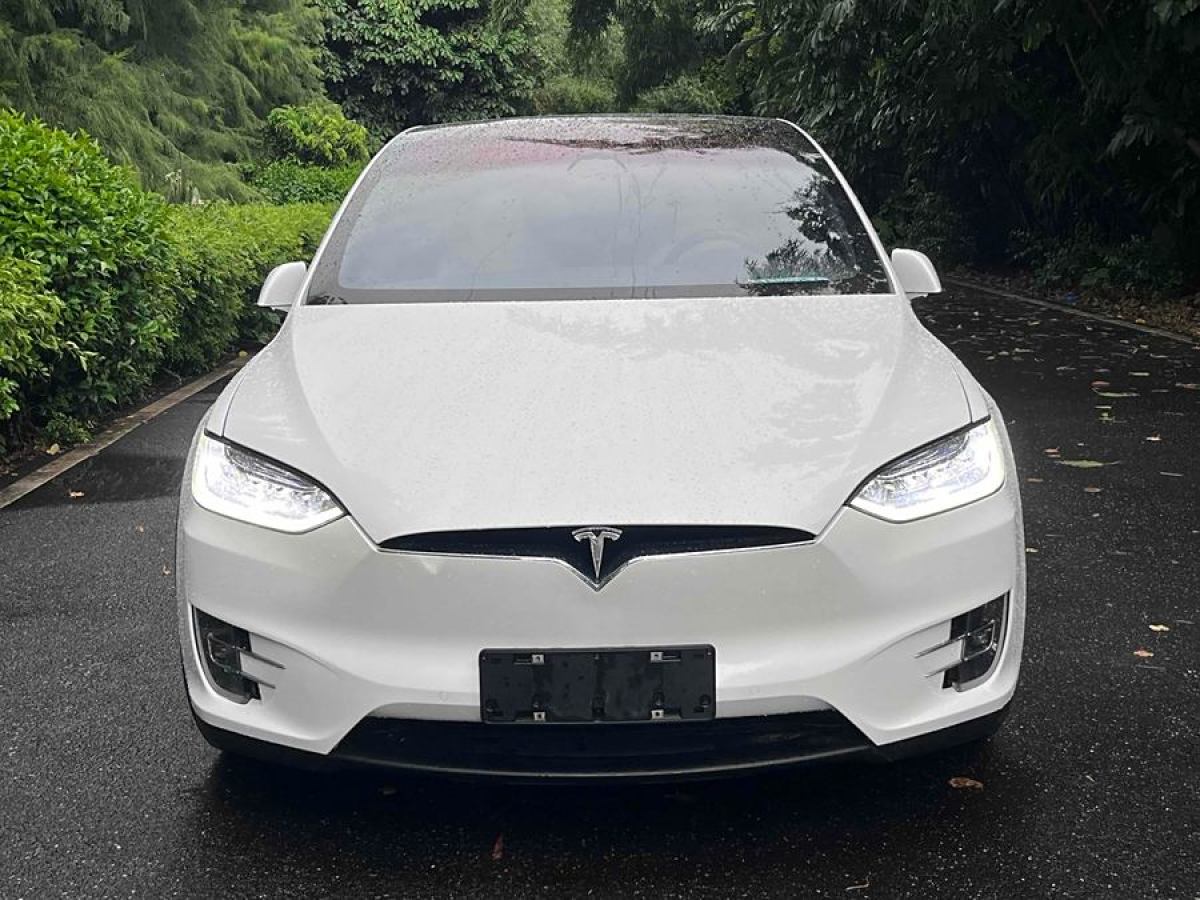 特斯拉 Model X  2016款 Model X 75D圖片