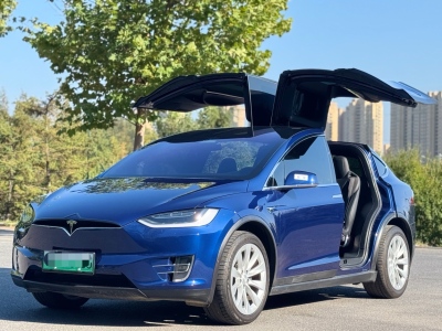 2019年4月 特斯拉 Model X Model X 100D 長(zhǎng)續(xù)航版圖片