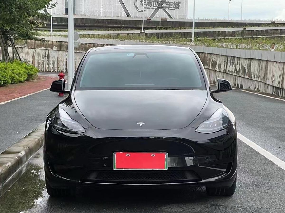 特斯拉 Model Y  2020款 改款 長續(xù)航后輪驅(qū)動版圖片