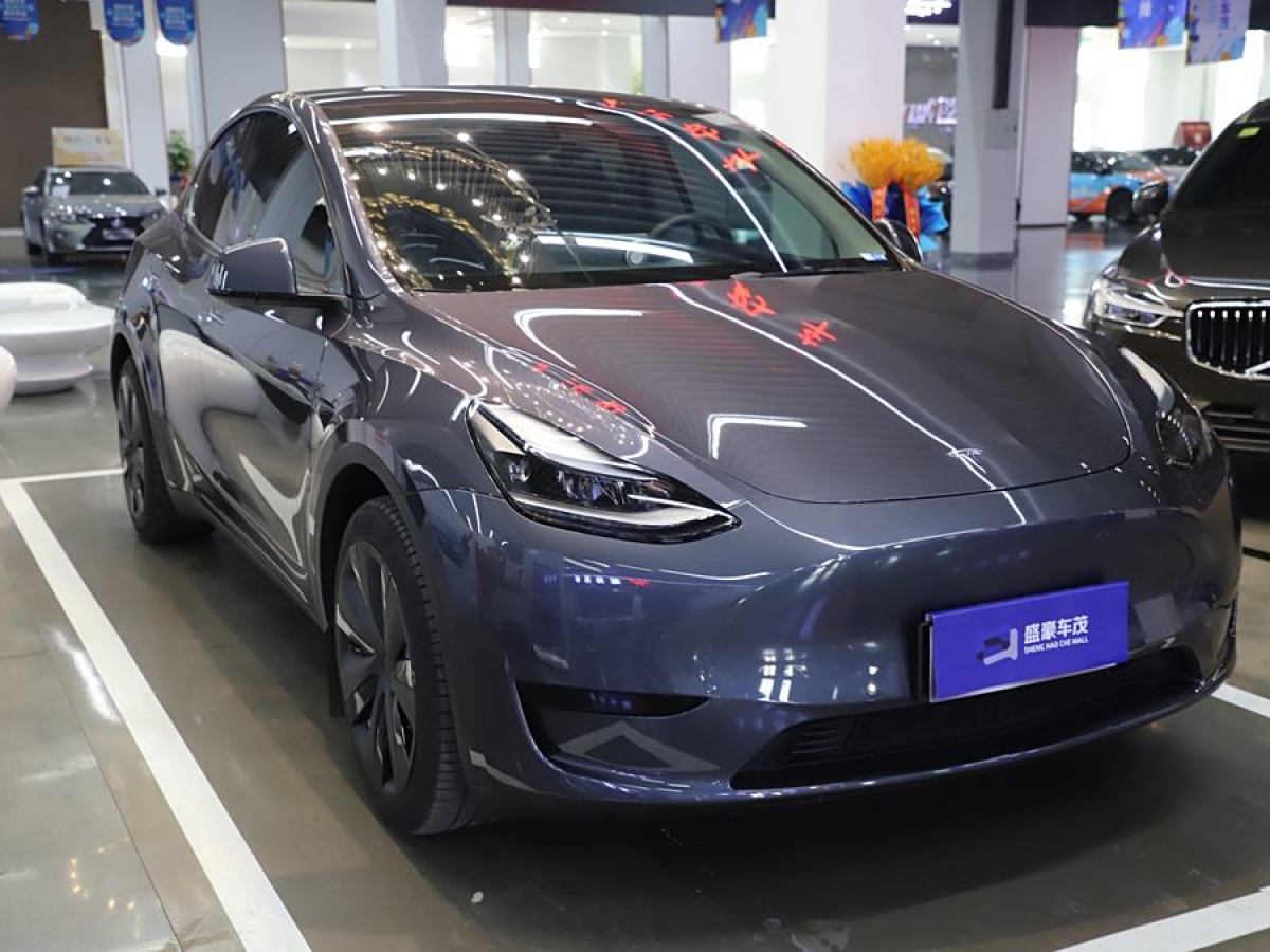 特斯拉 Model 3  2020款 改款 長續(xù)航后輪驅(qū)動版圖片