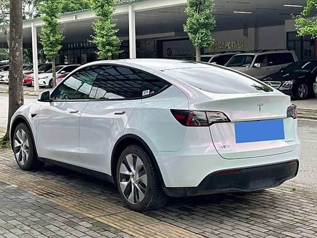 2023年3月特斯拉 Model 3  2022款 后輪驅(qū)動版