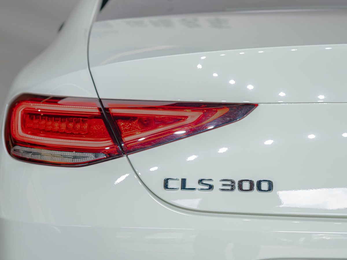 奔馳 奔馳CLS級  2021款 改款 CLS 300 動感型圖片