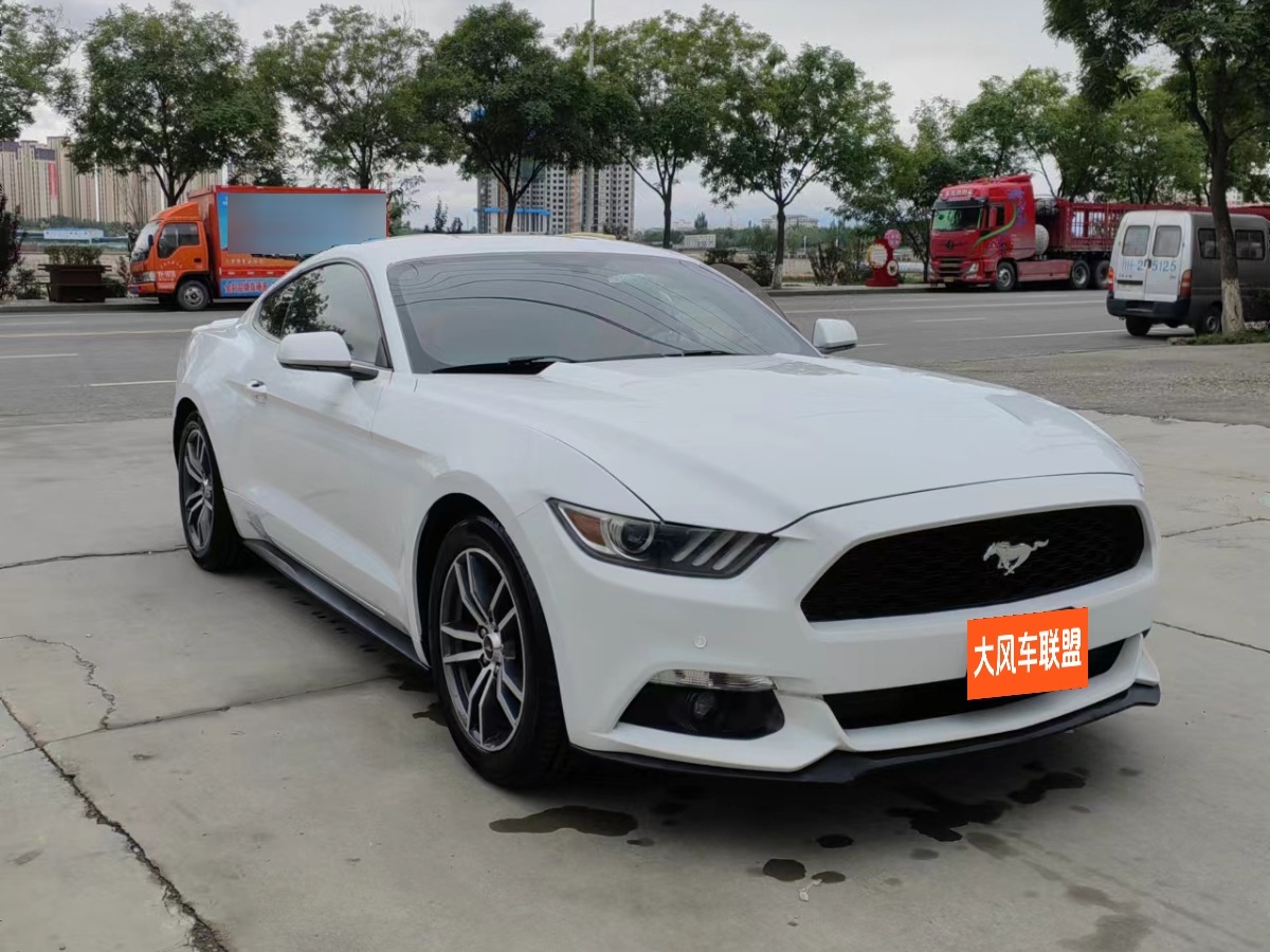 福特 Mustang  2016款 2.3T 性能版圖片