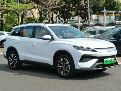 2024年1月 比亞迪 宋L 550km 卓越型圖片