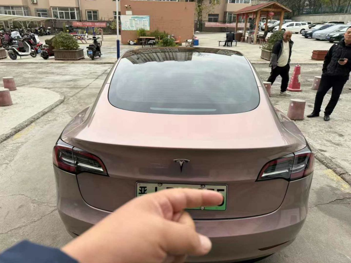 特斯拉 Model 3  2021款 標(biāo)準(zhǔn)續(xù)航后驅(qū)版圖片