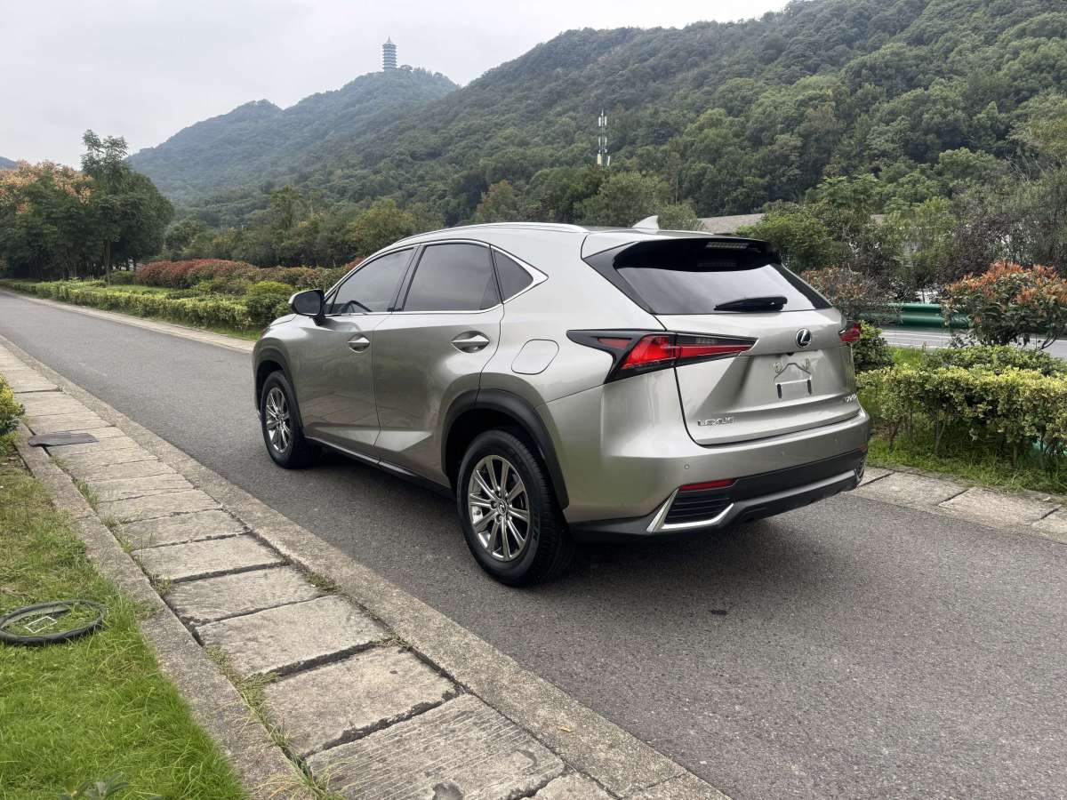 雷克薩斯 NX  2020款 200 全驅(qū) 鋒尚版 國(guó)V圖片