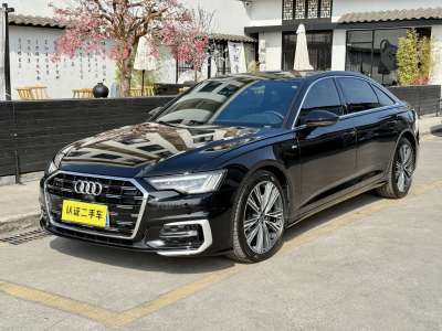 2023年8月 奥迪 奥迪A6L 改款 45 TFSI 臻选动感型图片