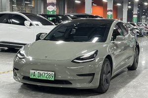 Model Y 特斯拉 改款 標(biāo)準(zhǔn)續(xù)航后驅(qū)升級(jí)版