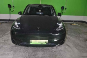 Model Y 特斯拉 改款 后輪驅(qū)動版