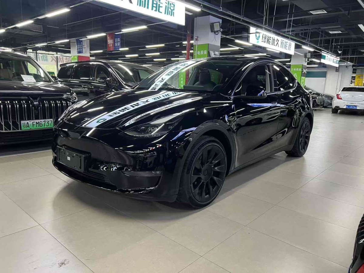 特斯拉 Model 3  2022款 Performance高性能全輪驅(qū)動(dòng)版圖片