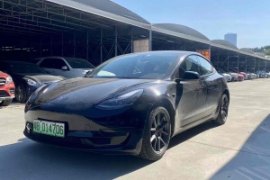 Model 3 特斯拉 标准续航后驱升级版