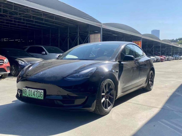 特斯拉 Model 3  2019款 标准续航后驱升级版