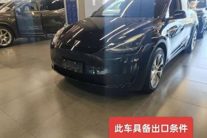 Model Y 特斯拉 改款 后輪驅(qū)動(dòng)版