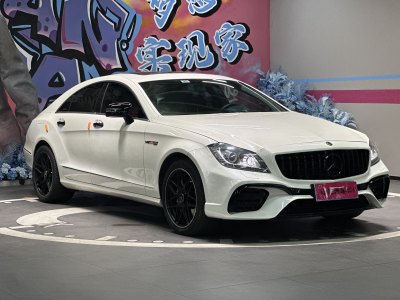 2013年6月 奔馳 奔馳CLS級(進(jìn)口) CLS 300 CGI圖片