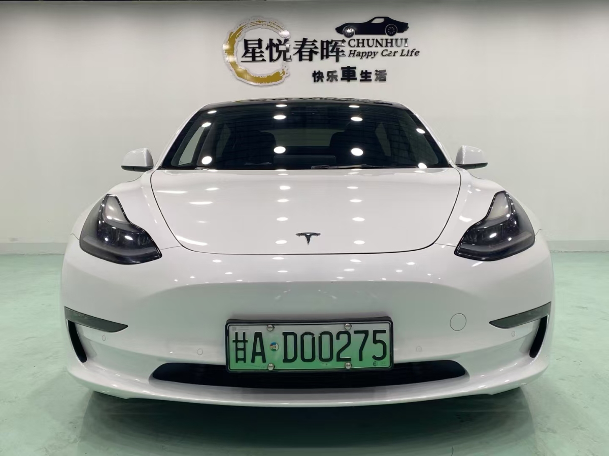 特斯拉 Model 3  2019款 標(biāo)準(zhǔn)續(xù)航后驅(qū)升級(jí)版圖片